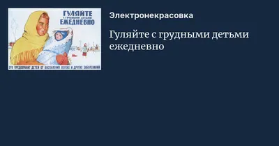 Малышка поползла… к коту!»: допустимы ли животные в семьях с грудными детьми  - Новый Калининград.Ru