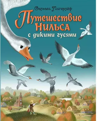 Борис Диодоров "Чудесное путешествие Нильса с дикими гусями" | Сказочные  иллюстрации, Графическая иллюстрация, Книжные иллюстрации