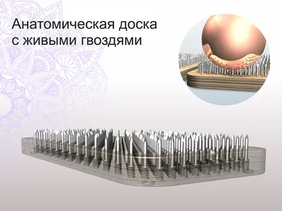 Как стоять на гвоздях: польза, научное объяснение и советы для начинающих