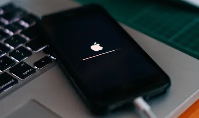 Чехол из оргстекла для смартфона Apple iPhone 13, яблоко - купить с  доставкой по выгодным ценам в интернет-магазине OZON (521325783)