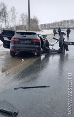 В чем отличия между гепардом, леопардом и ягуаром? Сохраняйте себе на  стену, чтобы никогда не путать этих хищников. | ВКонтакте