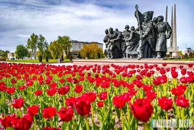 Я яркими красками жизнь распишу: Продолжаем рисовать и творить)