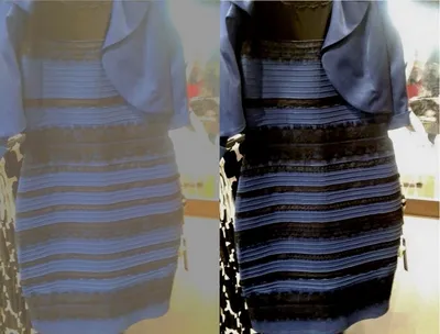 Оптическая иллюзия с цветом платья телеведущей разделила людей на два  лагеря: Coцсети: Интернет и СМИ: 