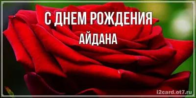 Атау картасы АЙДАНА Туған күніңмен подарки на розовом фоне. Әр күннің аты  мен тілектері бар ашық хаттар.