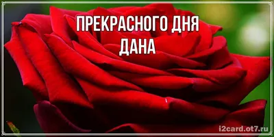 Значение имени Дана: происхождение, характер и совместимость с другими  именами — Бэби.ру