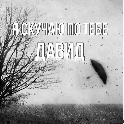 Кружка "С именем, Давид Небесное создание", 330 мл - купить по доступным  ценам в интернет-магазине OZON (1121877721)