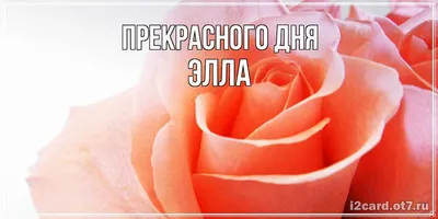 Сердце шар именное, фольгированное, золотое, с надписью (с именем) "С днём  рождения, Элла!" - купить в интернет-магазине OZON с доставкой по России  (960307322)