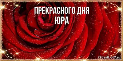 Открытка с именем Юра Я скучаю по тебе. Открытки на каждый день с именами и  пожеланиями.