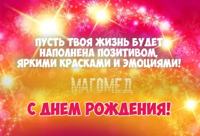 Пенал Магомед Кекс и К 170785004 купить в интернет-магазине Wildberries