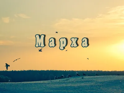 Чипборд. Марха