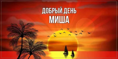 Открытка с именем Миша Добрый день. Открытки на каждый день с именами и  пожеланиями.