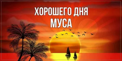 Открытка с именем Муса С днем рождения картинки. Открытки на каждый день с  именами и пожеланиями.