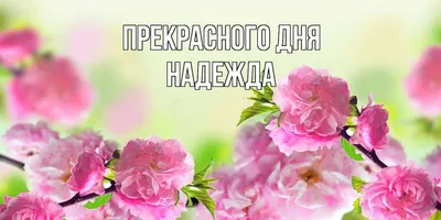 Именной ежедневник А5 с именем "Надежда" (Подарок, практичный сувенир) -  купить с доставкой по выгодным ценам в интернет-магазине OZON (465111534)