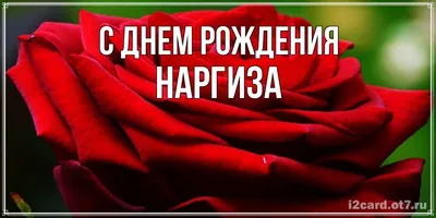 Открытка с именем Наргиза С днем рождения Нежная открытка с тюльпанами.  Открытки на каждый день с именами и пожеланиями.