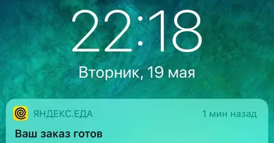 Толомырза и Назгуль сыграли свадьбу за 27 000 долларов, а закончилось  торжество в полицейском участке (фото)