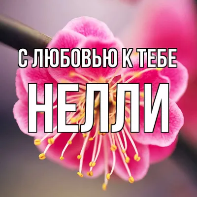 С именем нелли картинки