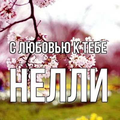 Открытка с именем Нелли Добрый день. Открытки на каждый день с именами и  пожеланиями.