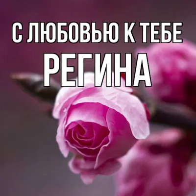 Имя Регина: значение, судьба, характер, происхождение, совместимость с  другими именами