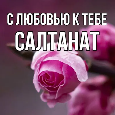 Салтанат, с Днём Рождения: гифки, открытки, поздравления - Аудио, от  Путина, голосовые