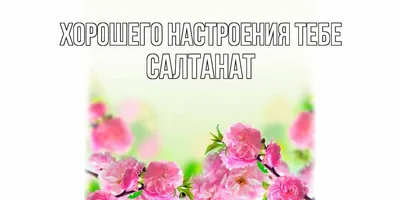 Открытка с именем Салтанат С днем рождения застолье. Открытки на каждый  день с именами и пожеланиями.