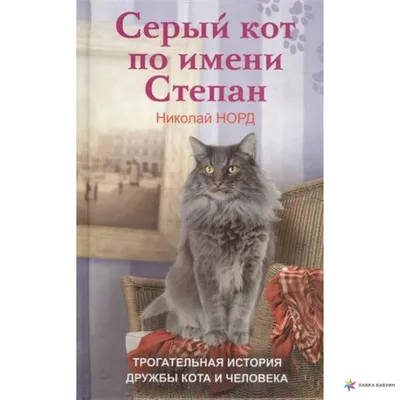 Тарелка CoolPodarok Все Великие люди носят имя Степан - купить в ИП  Ситниченко М.Н., цена на Мегамаркет