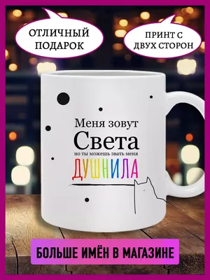 Кружка душнила с именем Света Printshok 182904357 купить за 512 ₽ в  интернет-магазине Wildberries