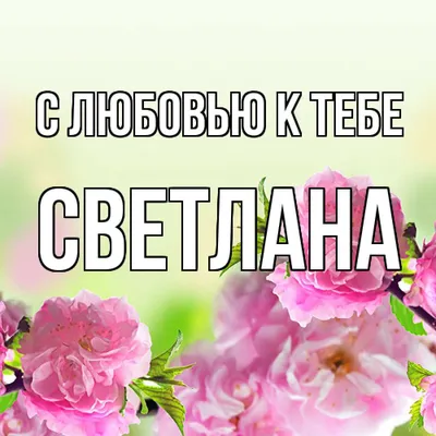 Кружка Be Happy "FLORA" с именем "Светлана" - купить в Москве, цены на  Мегамаркет