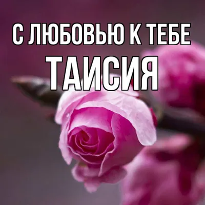 ТАИСИЯ. ДЕНЬ АНГЕЛА. КРАСИВОЕ ПОЗДРАВЛЕНИЕ. ЗНАЧЕНИЕ ИМЕНИ. - YouTube