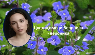 Имя Вероника (Виринея) в православных Святцах