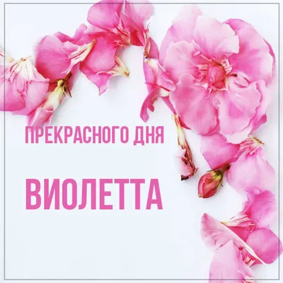 Самое лучшее в мире имя "Виолетта" 2024 | ВКонтакте