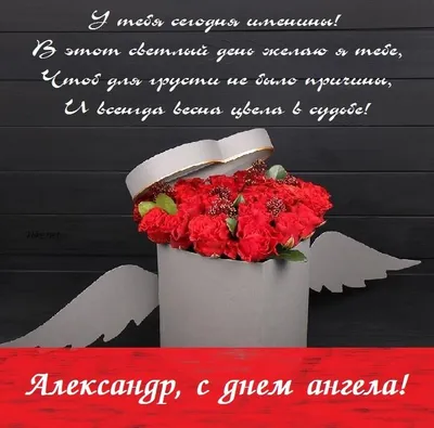 Именины у Александра 12 сентября: душевные открытки с Днём ангела Сашам -  