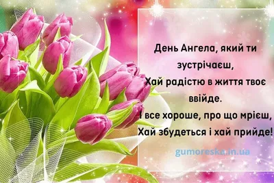 День ангела Александра 2020: поздравления в стихах и прозе, смс, открытки,  видео