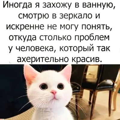 юмор, любовь, отношения, мж, фитнес, диета, кожа, красота, девушка, |  Вдохновляющие цитаты, Смешные цитаты, Смешно