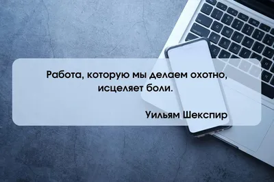 Люблю свою работу, но голубям завидую | Пикабу