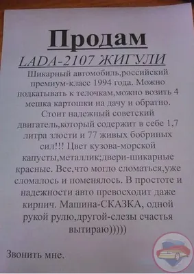 Скажи, Ленка, есть в тебе что-тохорошее? - Аппетит у меня хороший - юмор в  осенних тонах для моей группы в ВК | МНЕ ИНТЕРЕСНО - ВТОРАЯ ПОПЫТКА | Дзен