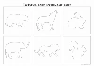 Топ диких животных, которые становятся домашними на наших глазах | ТОТО |  Дзен