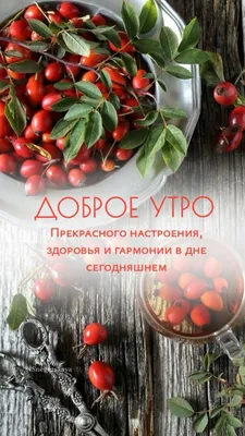 Доброе утро Эд Пусть все будет …» — создано в Шедевруме