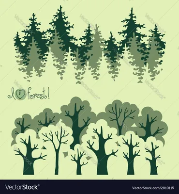 Forest 🤍 | Пейзажи, Природа, Лес