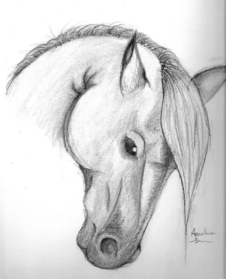 Картина на холсте с изображением Бегущих Лошадей, черно-белого цвета,  плакаты с лошадьми | AliExpress