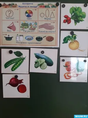 50 шт., наклейки с изображением овощей и Маринованного огурца | AliExpress