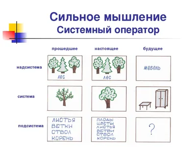 Родкина Вера Николаевна воспитатель первой квалифицированной катего