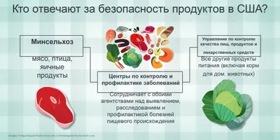 С изображением продуктов питания картинки