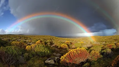 Фон для фотосъемки с изображением радуги, размер в ассортименте | AliExpress