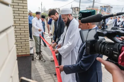 Водопад в природе горный каскад речной водопад чёрно-белое | Премиум Фото