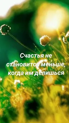 Вдох счастья в это утро | Картинки с надписями, прикольные картинки с  надписями для контакта от Любаши