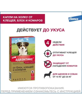 Винилография аэрография на авто 🐕 с изображением собаки