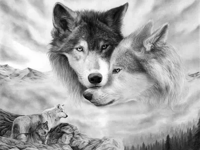 Купить картину Волк с волчицей - 