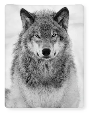 С изображением волка #9