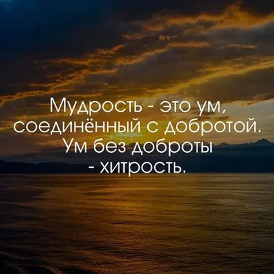 Афоризмы великих людей на разные темы. 16 изречений про ум, мудрость и  краткость. | Веселый полиглот | Дзен