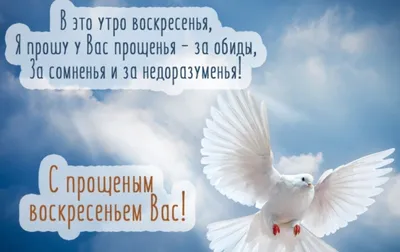 14 июня - Традиции, приметы, обычаи и ритуалы дня. Все праздники дня во  всех календарях | Сергей Чарковский Все праздники | Дзен